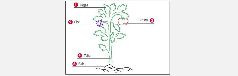 Science activity
