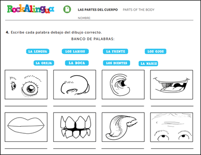 Structured activity worksheet