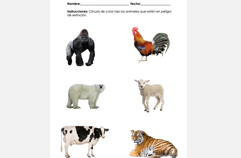 science activity