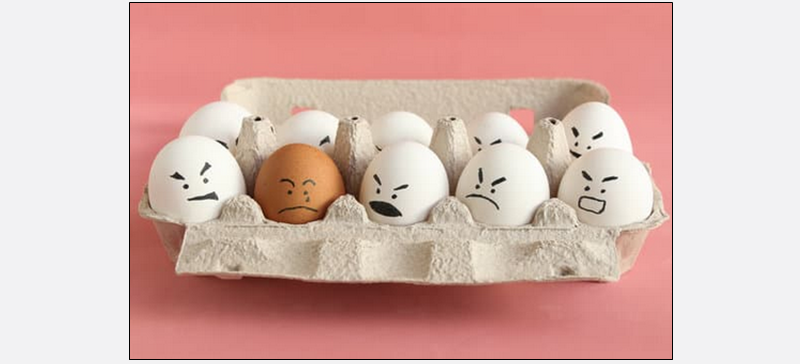 eggs in a carton