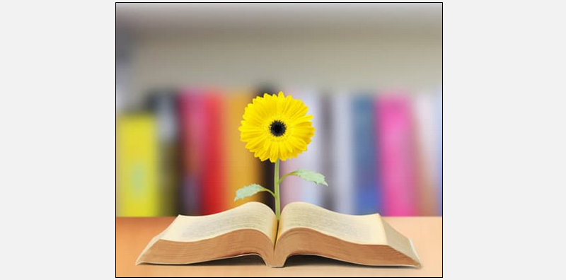 Open book