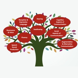 Scope of Issues in IPE - Tree Diagram